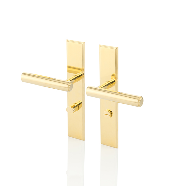 Bartlett door lever handle with backplate and privacy turn/release