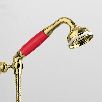 Rockwell angled handshower with hose