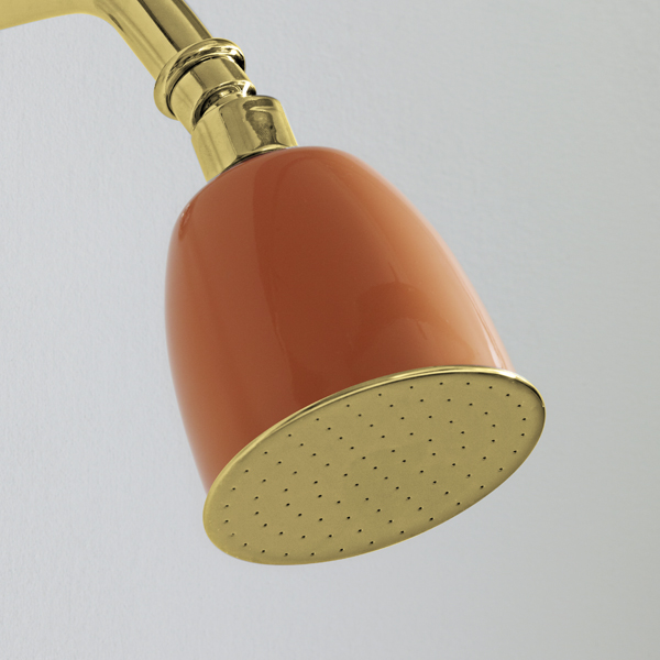 Rockwell 100mm rose with swivel