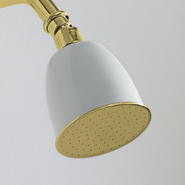 Rockwell 100mm rose with swivel