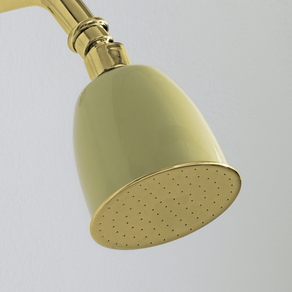 Rockwell 100mm rose with swivel