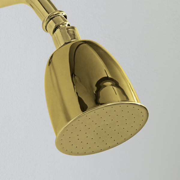 Rockwell 100mm rose with swivel