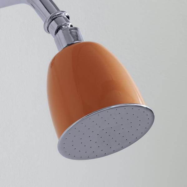 Rockwell 100mm rose with swivel