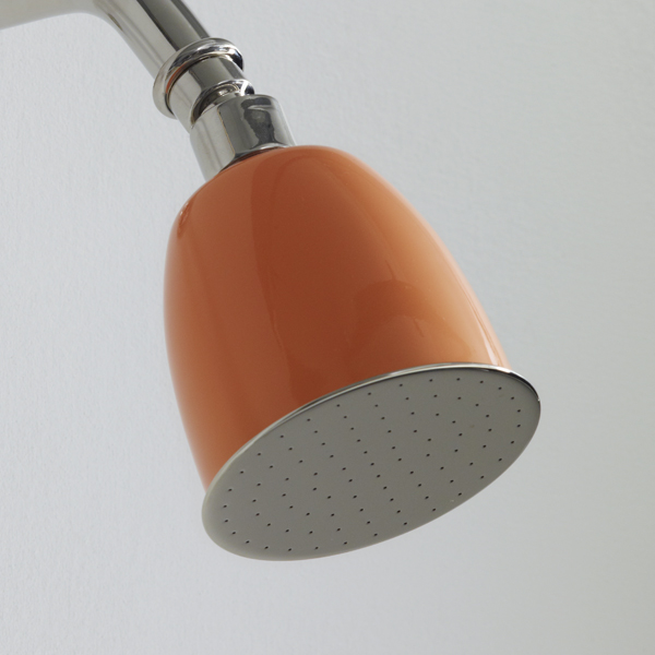 Rockwell 100mm rose with swivel