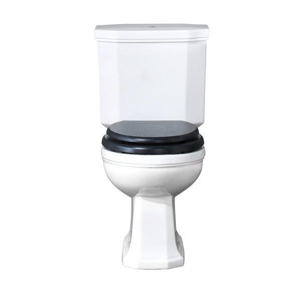 Close-coupled toilet including cistern and pan.