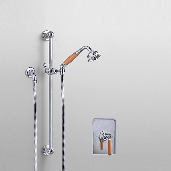 Rockwell shower layout RW4 with rail shower & single lever shower mixer